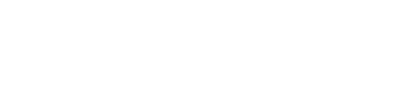 city house haarlem
